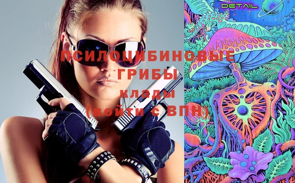 a pvp Михайлов