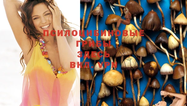 spice Надым