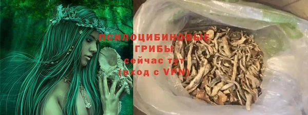 ПСИЛОЦИБИНОВЫЕ ГРИБЫ Богородск