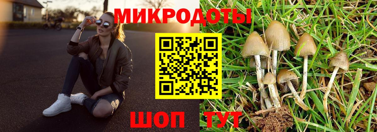 Галлюциногенные грибы мухоморы  Вход с VPN  Мегион 